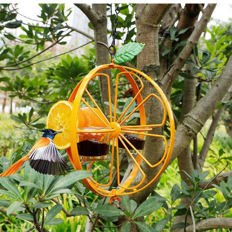 Hanging Hummingbird Oriole Feeder