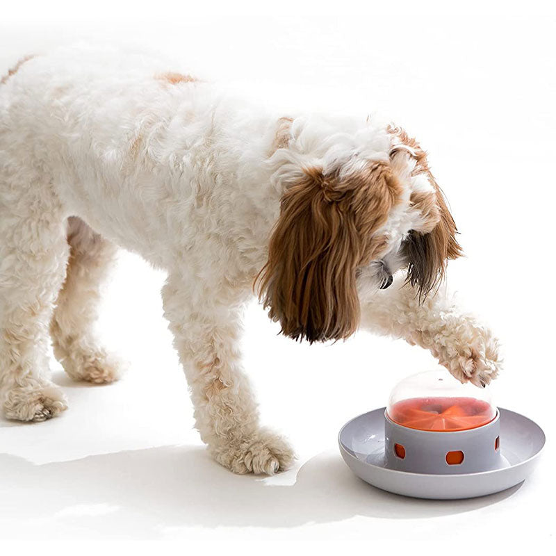 Pet Automatic Feeder