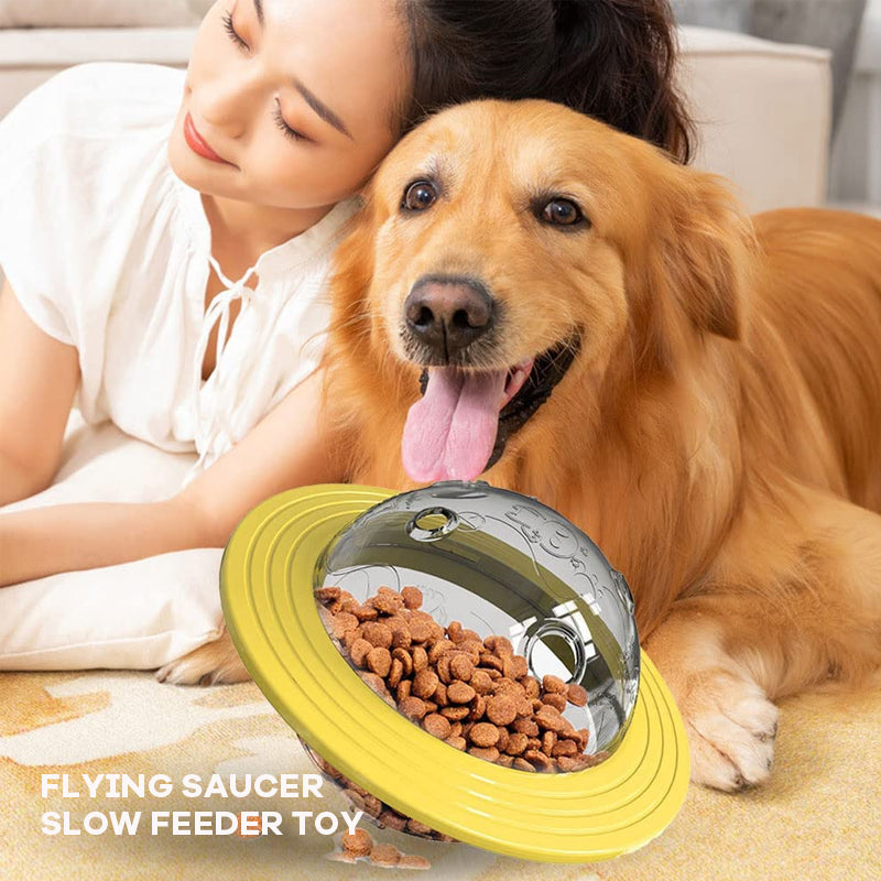 Flying Saucer Slow Feeder Toy