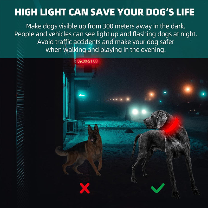 Adjustable Light Up Pet Collar