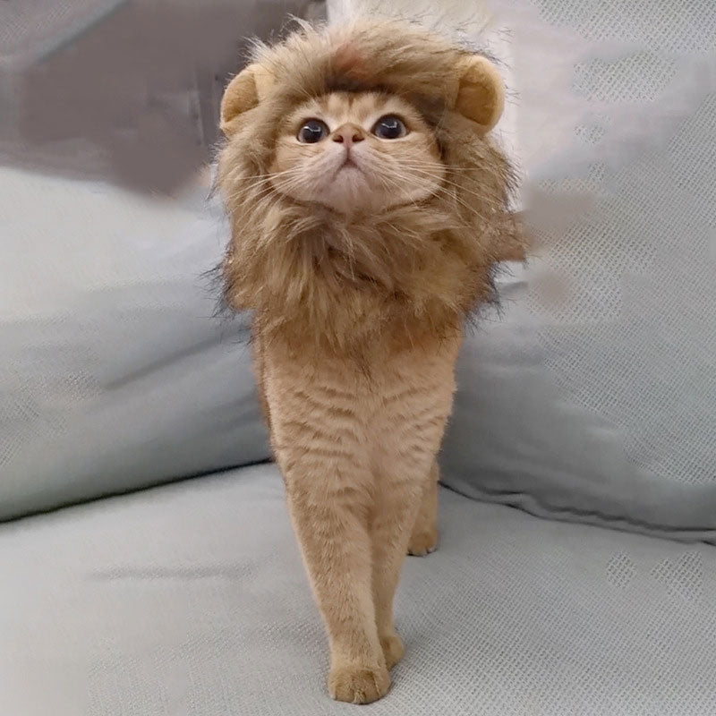 Cat Lion Headgear