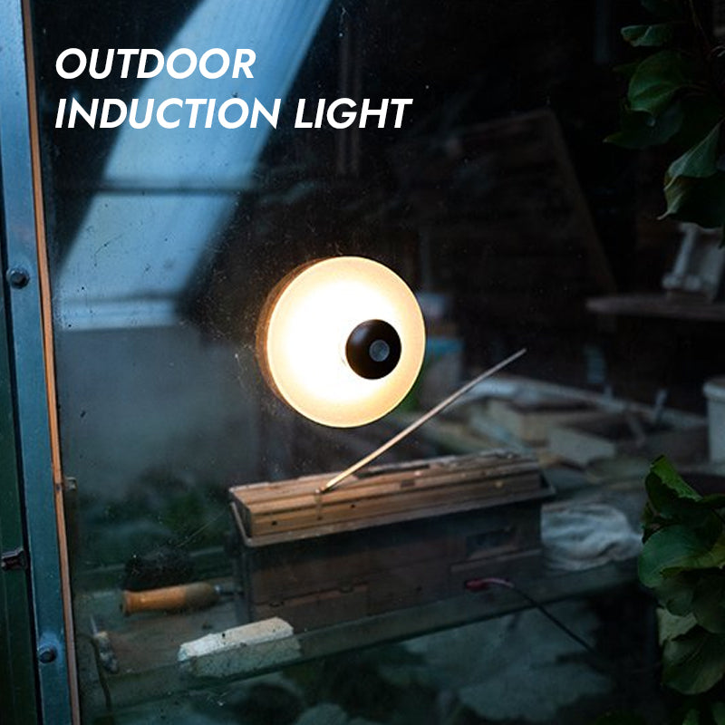 Induction Sucker Night Light