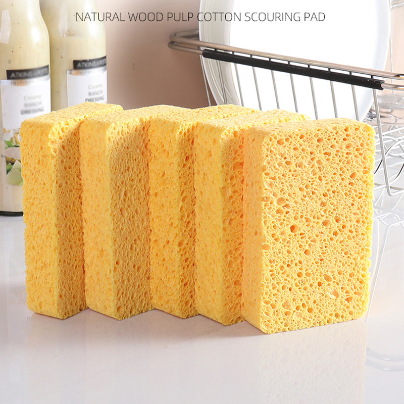 Wood Pulp Sponge