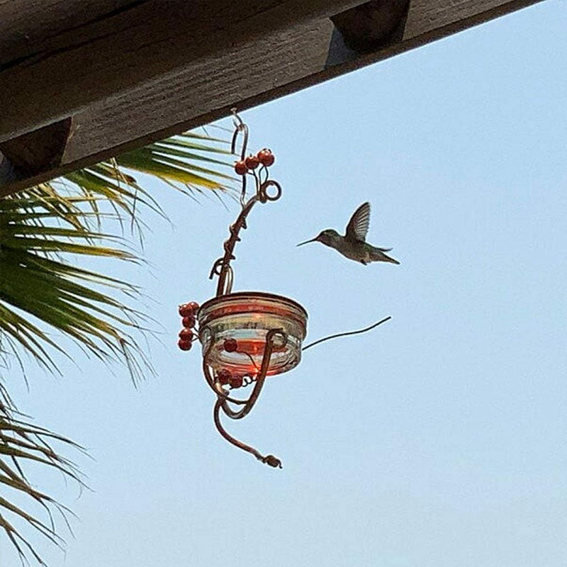 Red Berries Hummingbird Feeder