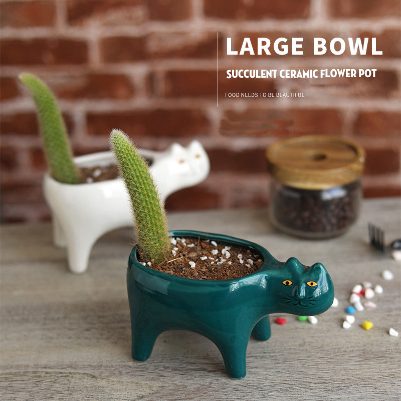 Succulent Ceramic Flower Pot