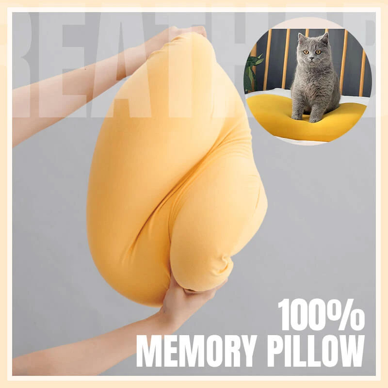 Soft Pillow That Feels Like A Cat's Belly