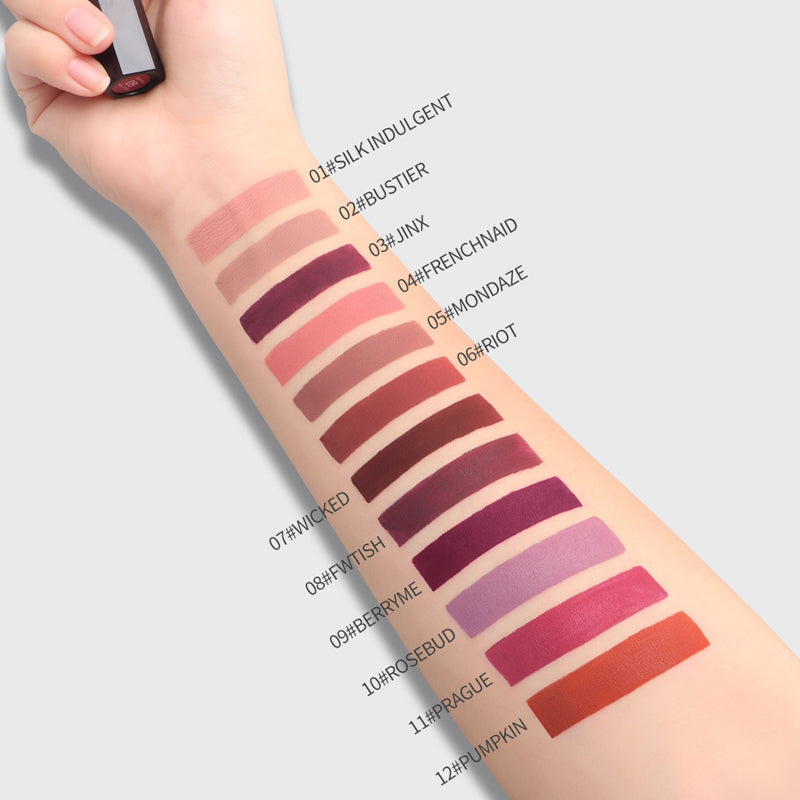 Lip Makeup Maroon 12 Colors Women Lipstick