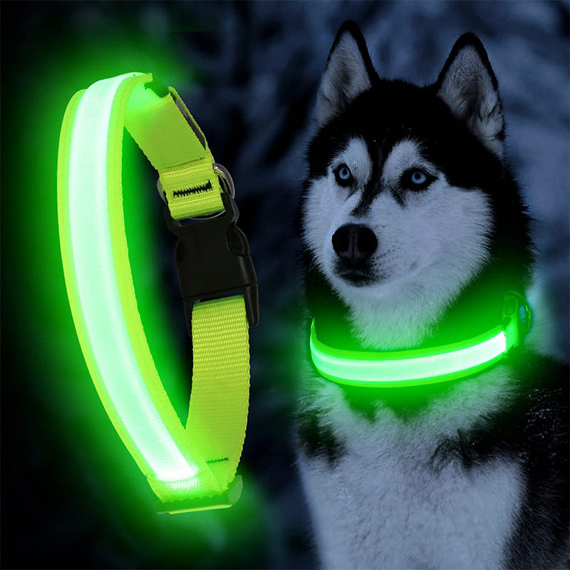 USB Rechargeable Glowing Pet Safety Collar