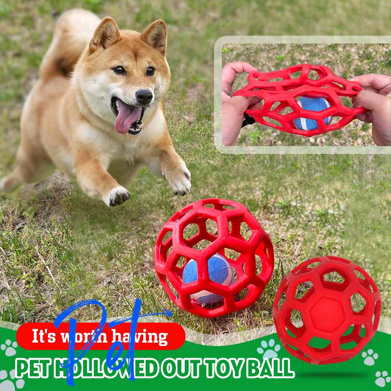 Pet Hollow Ball