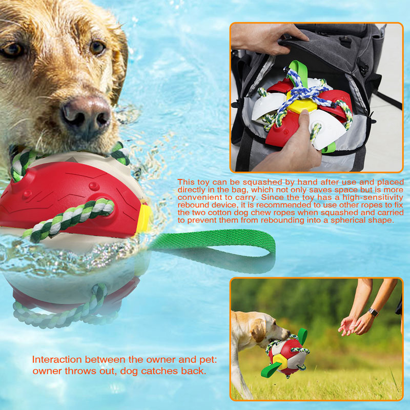 Outdoor Training Interactive Frisbee Soccer Dog Toy