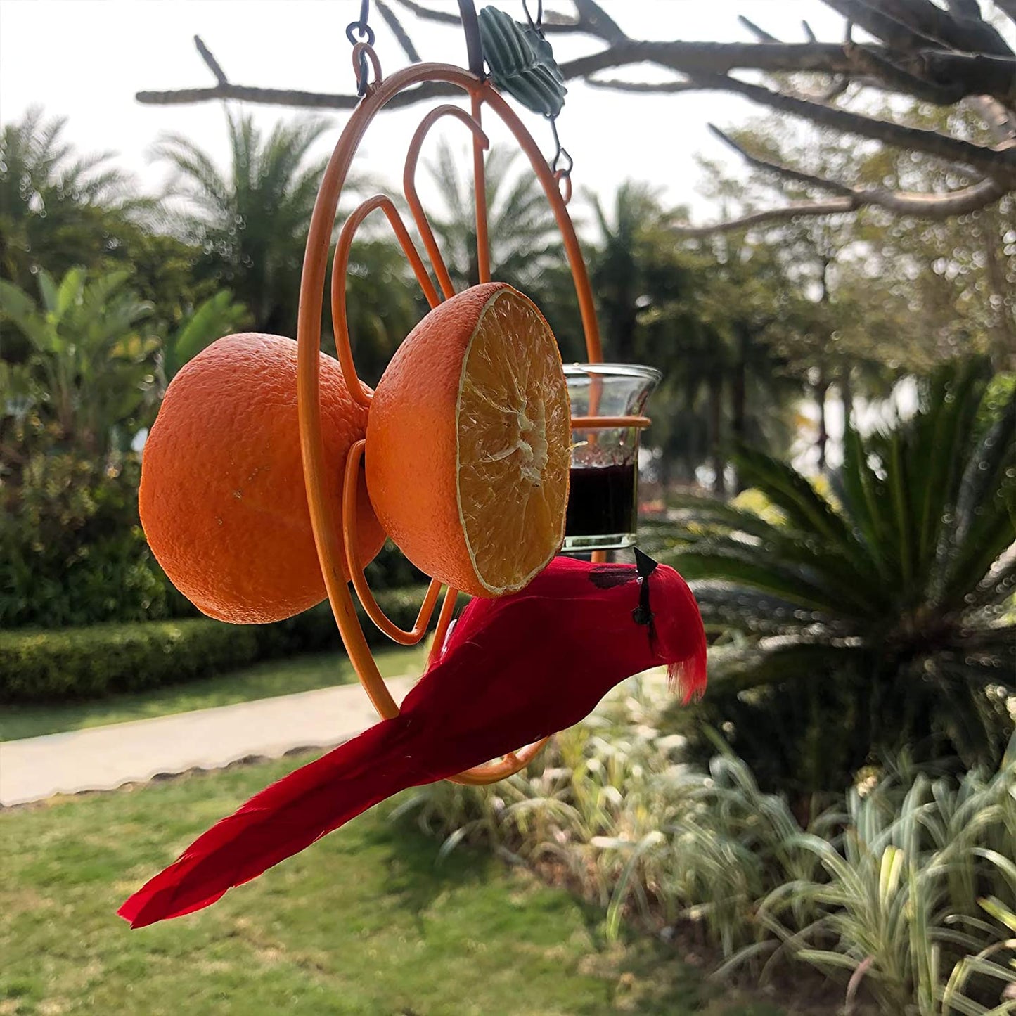 Hanging Hummingbird Oriole Feeder