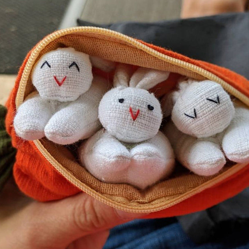 Hide-and-Seek Bunnies in Carrot Pouch