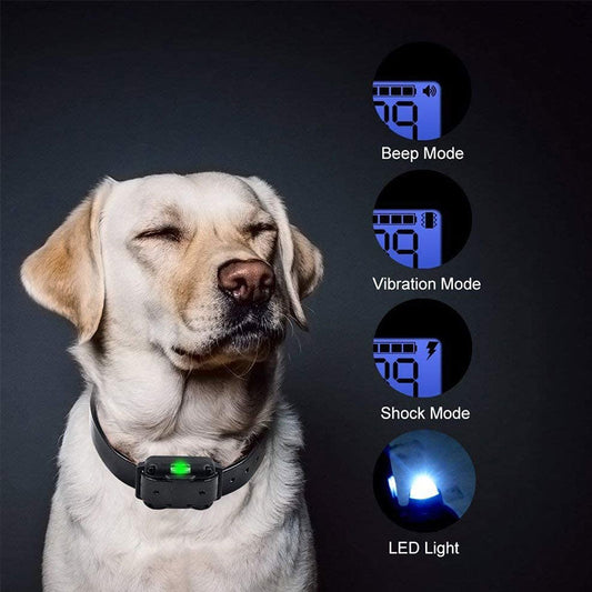 Dog Shock Collar with Remote Control