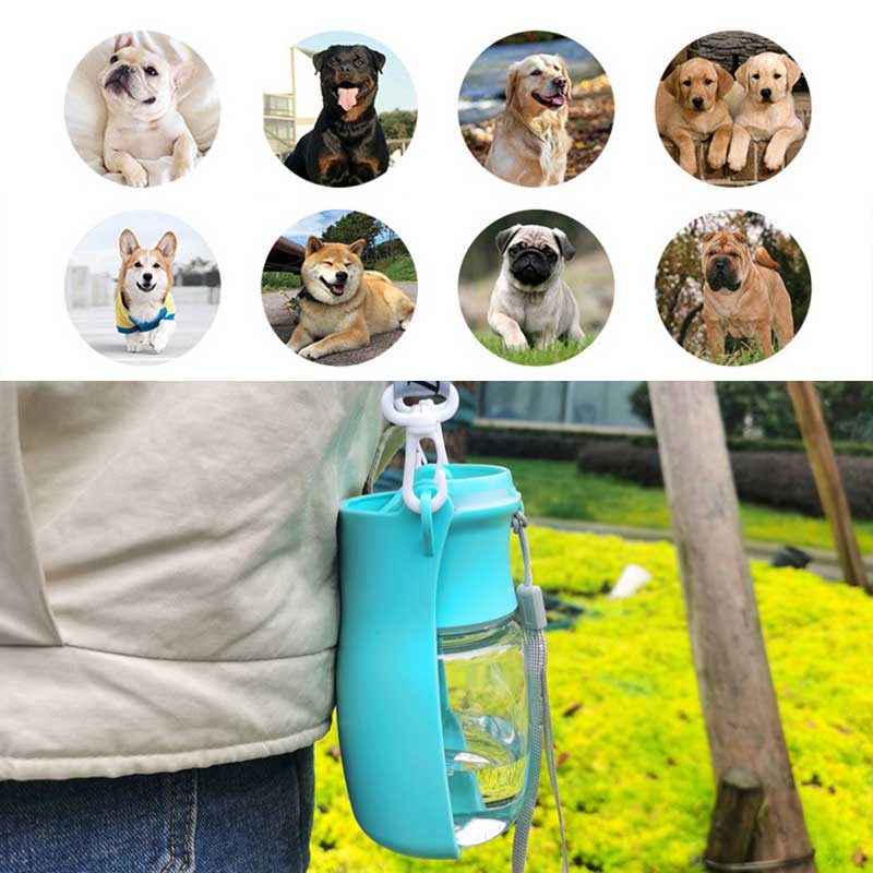 Portable Pet Drinking Water Cup