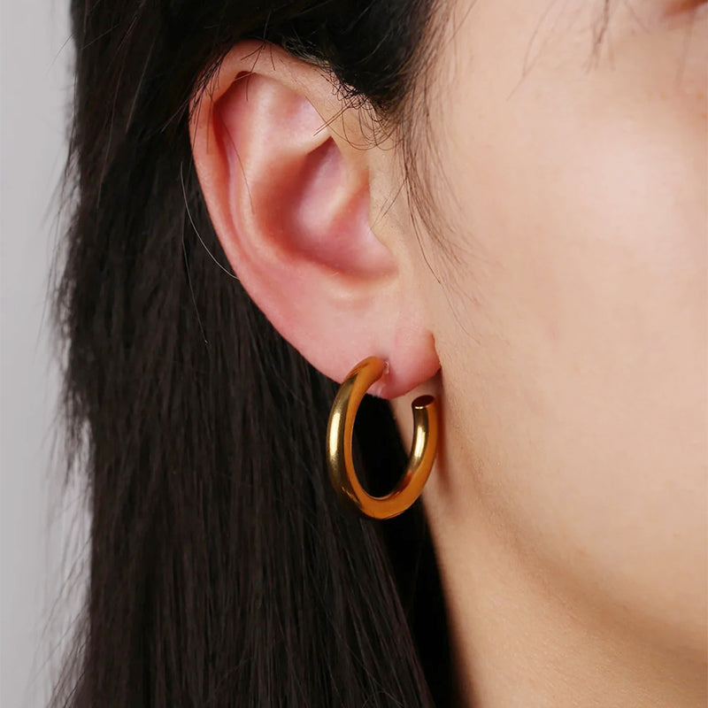 Women's Ins Style Hoop Earrings