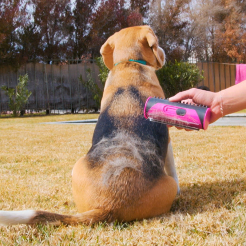 3 in1 Deshedding Undercoat & Fur Brush