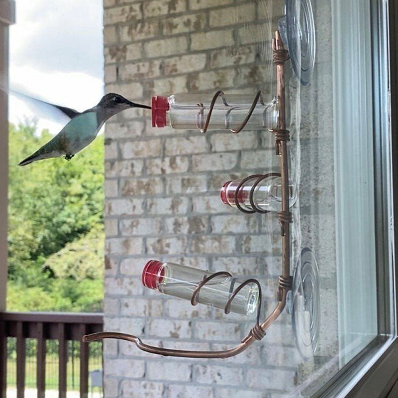 Suction Cup Type Window Hummingbird Feeder