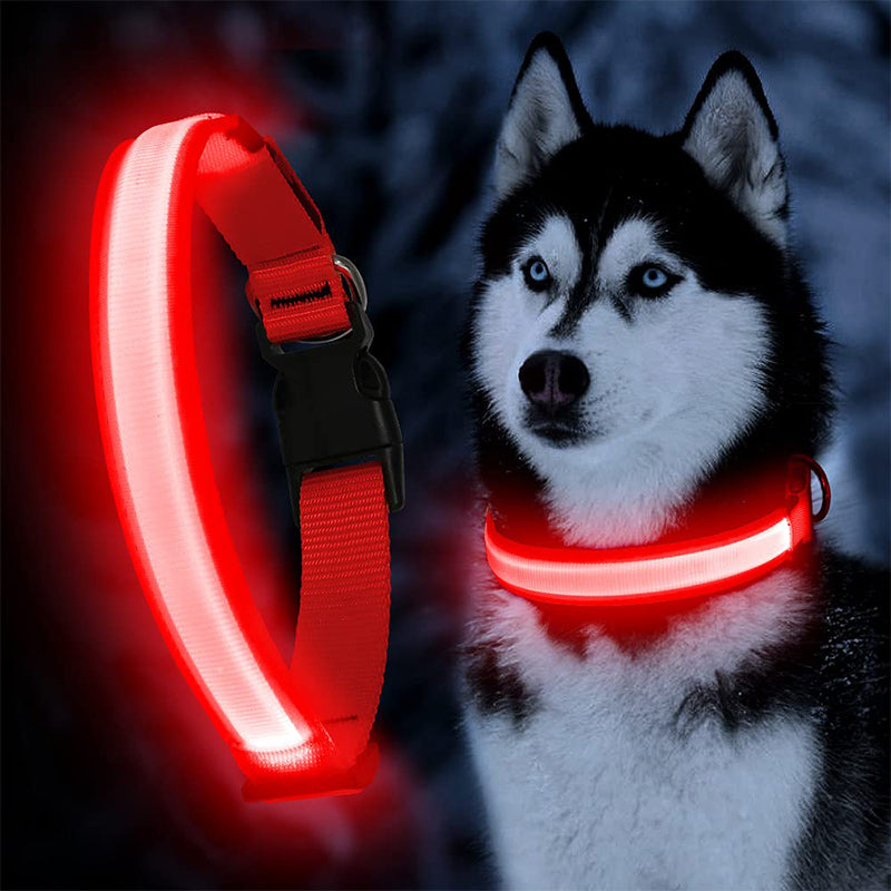 USB Rechargeable Glowing Pet Safety Collar