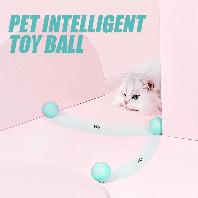 Pet Gravity Intelligent Rolling Ball