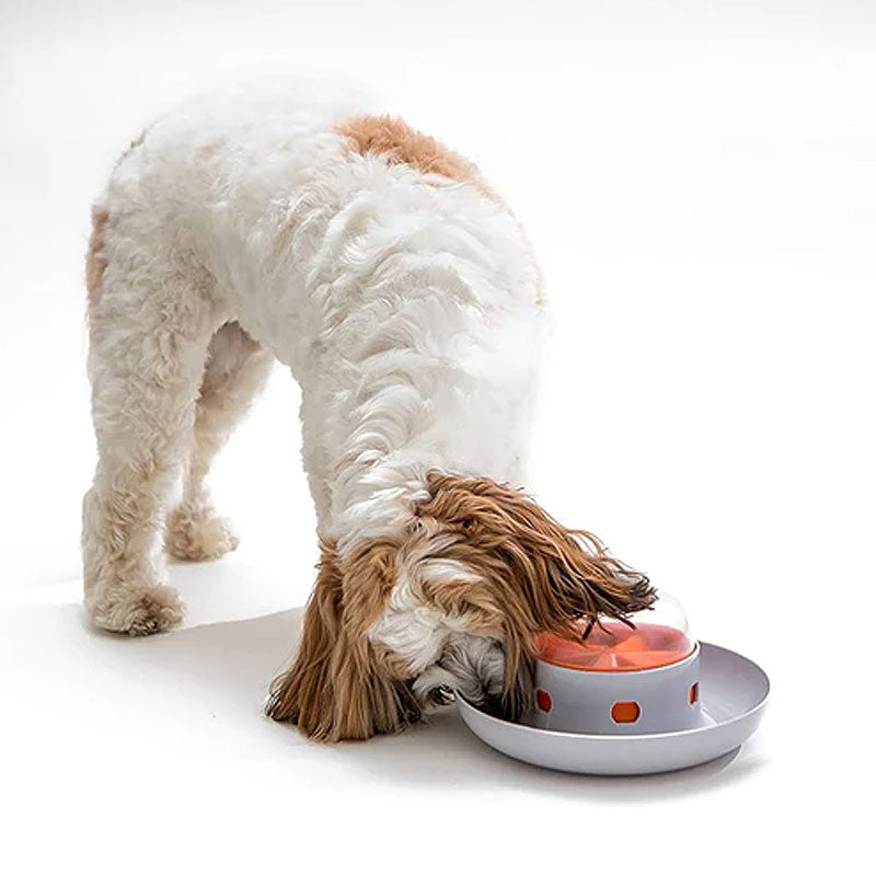 Pet Automatic Feeder