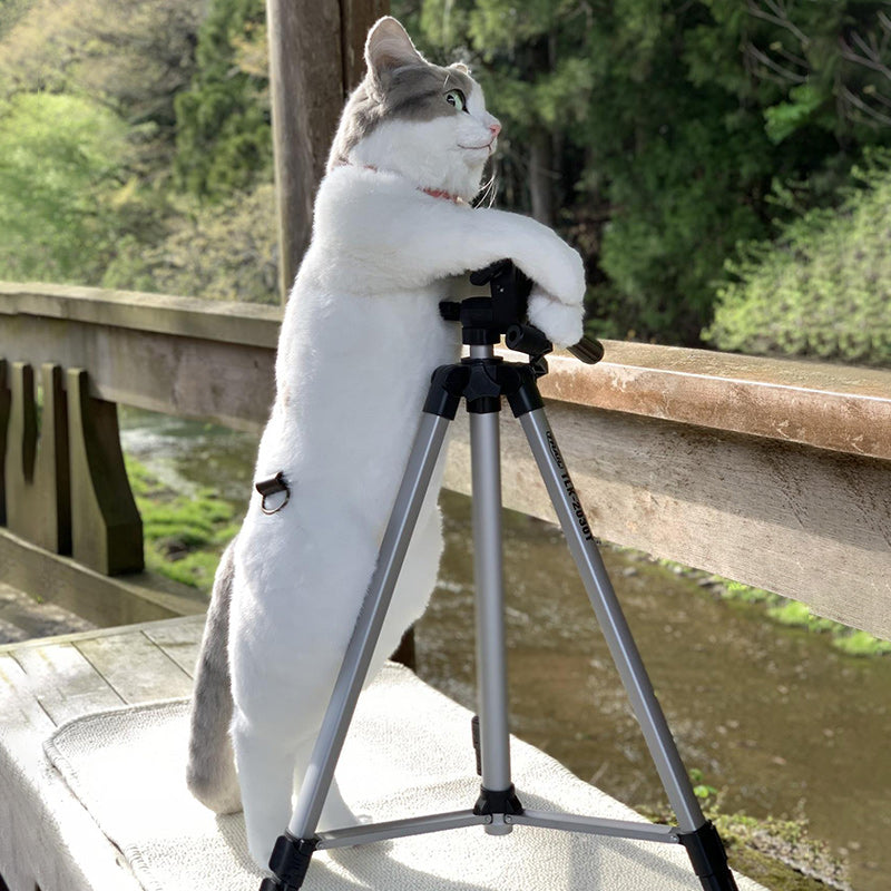 This Cat Backpack Looks Like a Real Live Cat