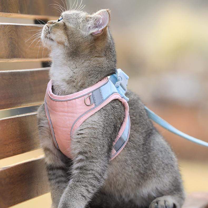 Cat Vest Leash