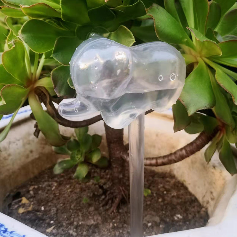 Plant Watering Globes Glass