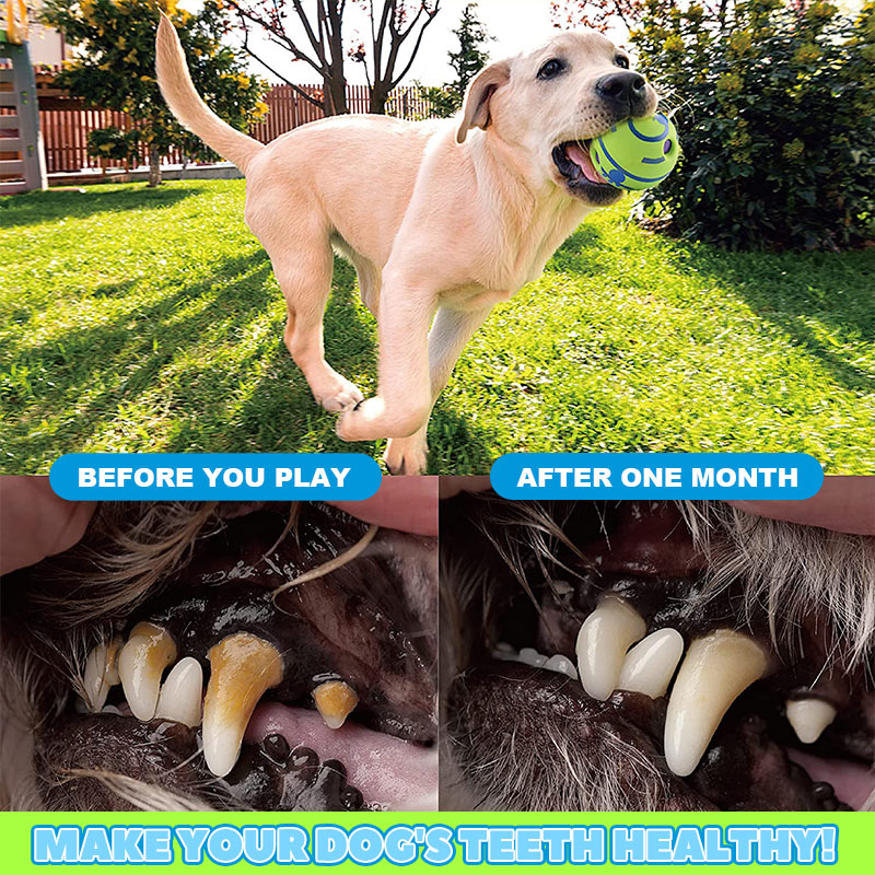 Pet Teething Self-Healing Ball