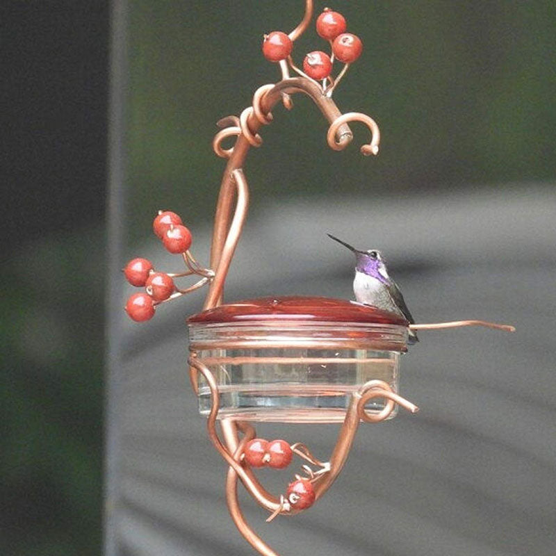 Red Berries Hummingbird Feeder