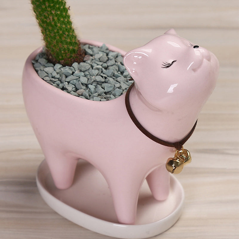 Tail Succulent Cactus Ceramic Flower Pot