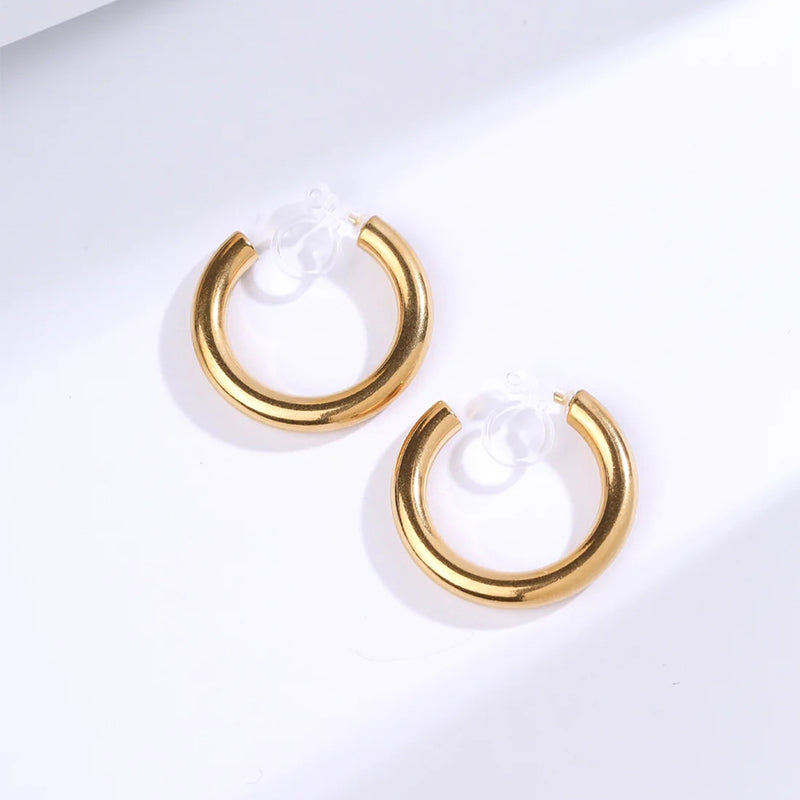 Women's Ins Style Hoop Earrings