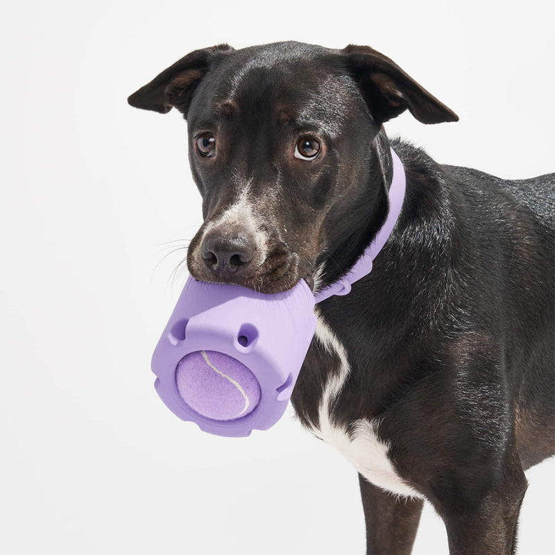 Dog Tennis Cup