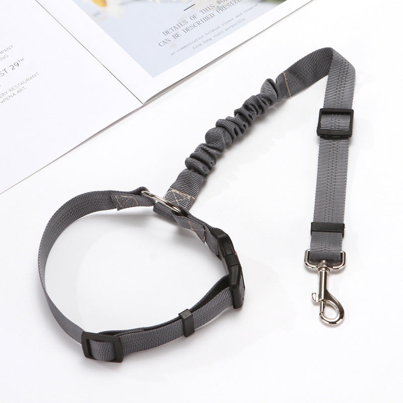 Adjustable Car Dog Leash