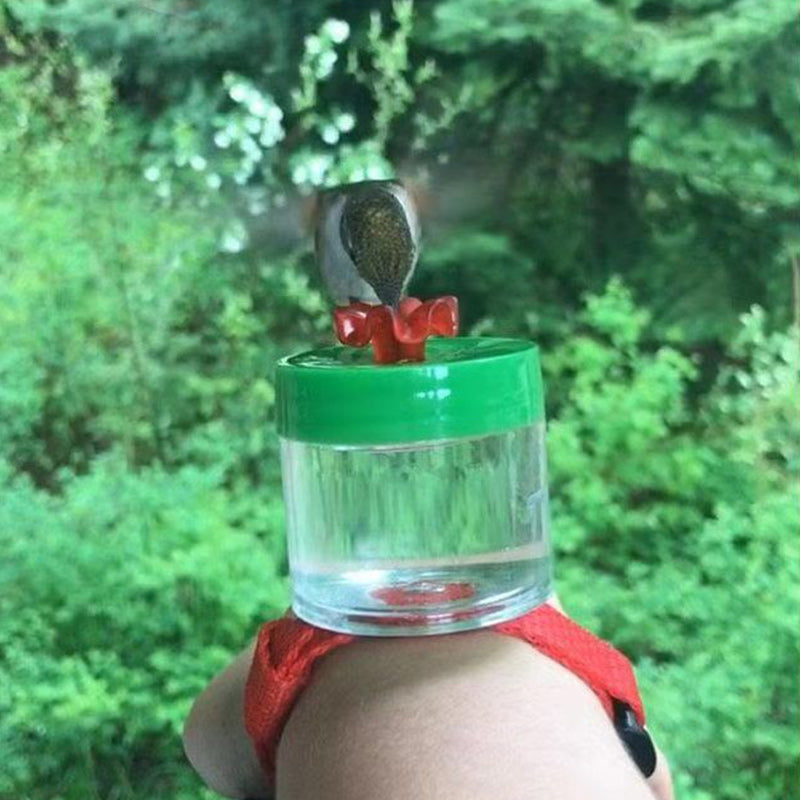 Hummingbird Feeder