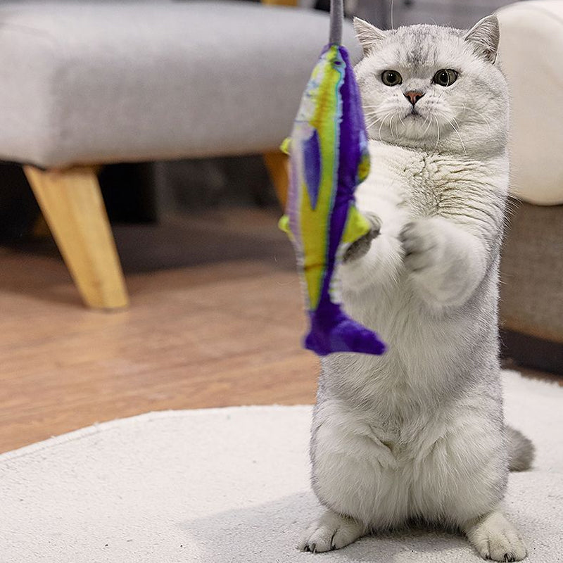 Interactive Cat Toys