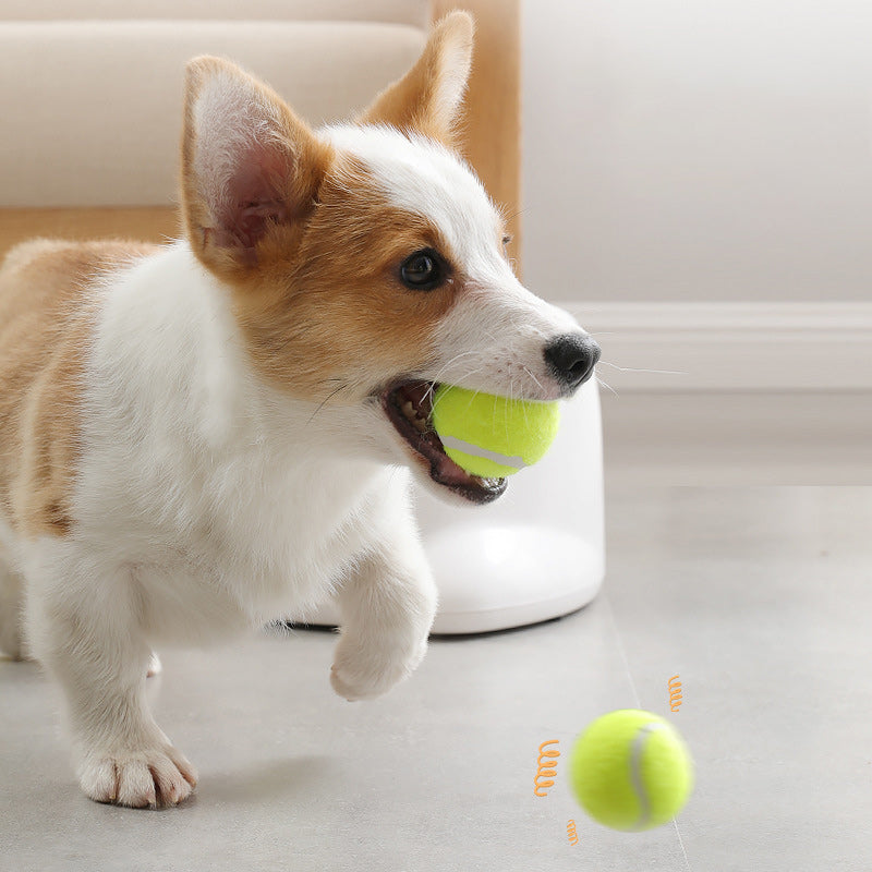 Automatic Interactive Dog Tennis Ball Launcher