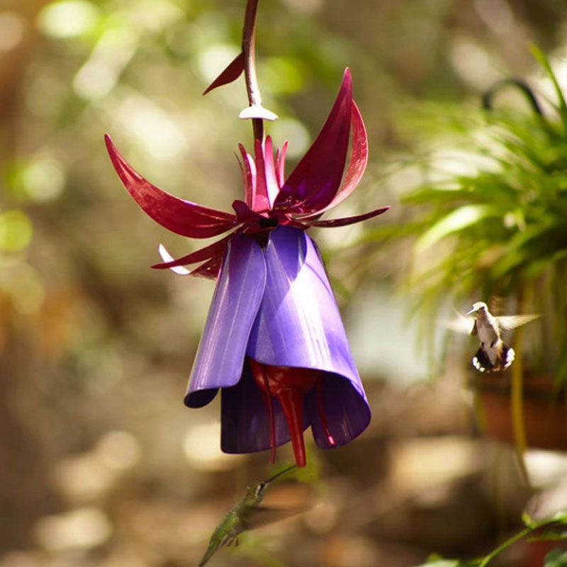 Coneflower Bird Feeder