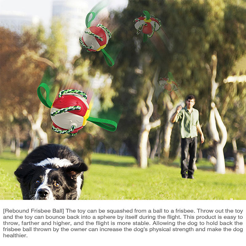 Outdoor Training Interactive Frisbee Soccer Dog Toy