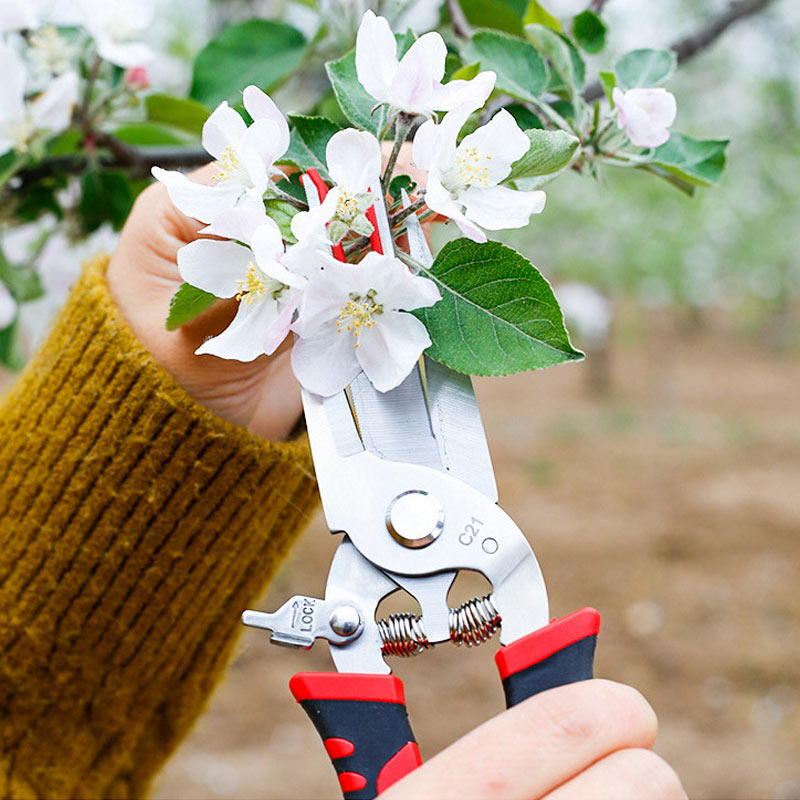 Double Mouth Thinning Shears