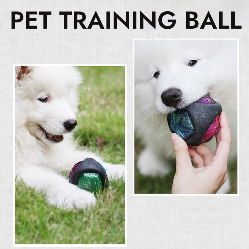 Pet Sound And Light Interactive Training Ball