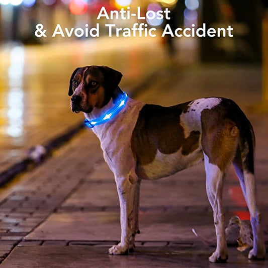 USB Rechargeable Glowing Pet Safety Collar