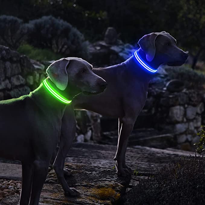 USB Rechargeable Glowing Pet Safety Collar