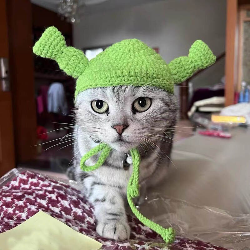 Pets Love Funny Hats