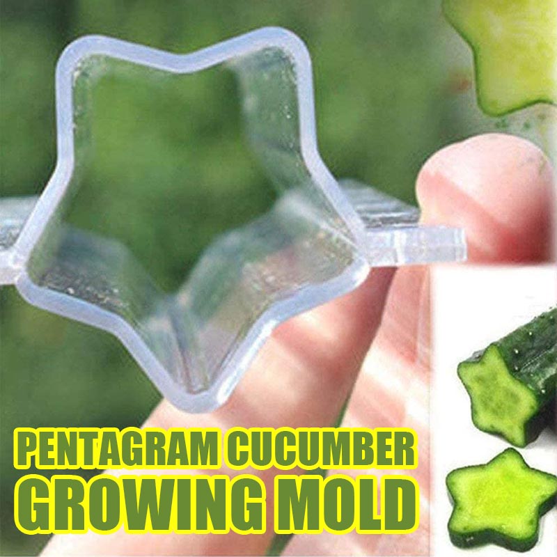 Pentagram Cucumber Growing Mold