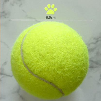 Automatic Interactive Dog Tennis Ball Launcher