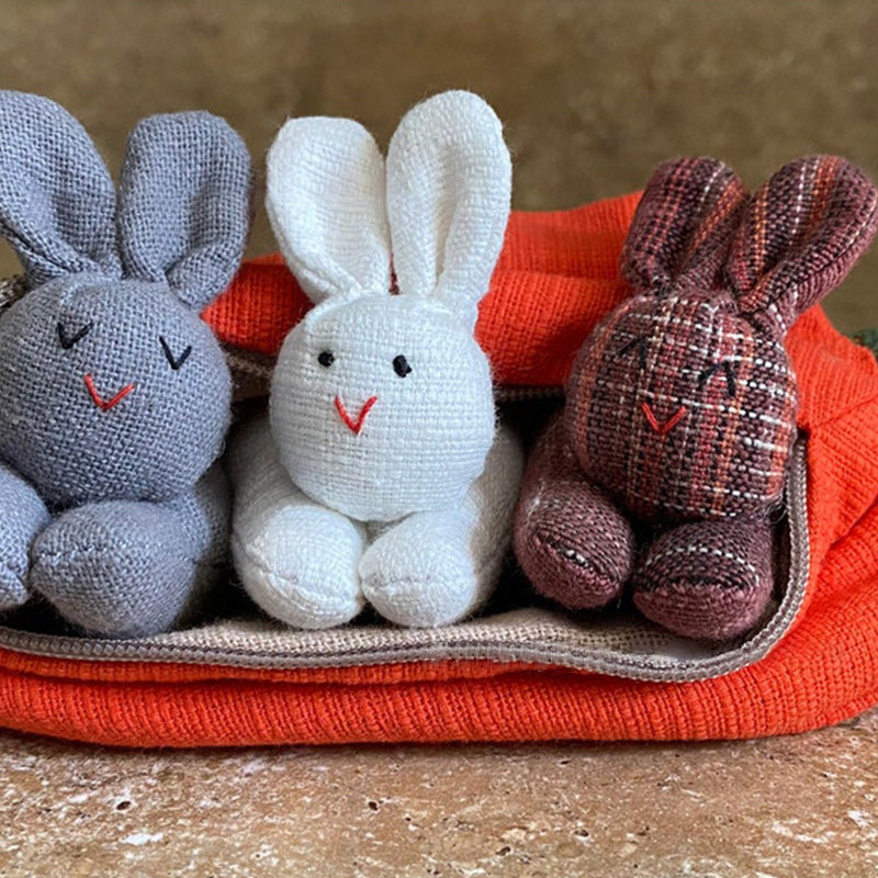 Hide-and-Seek Bunnies in Carrot Pouch