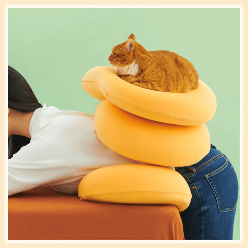 Soft Pillow That Feels Like A Cat's Belly