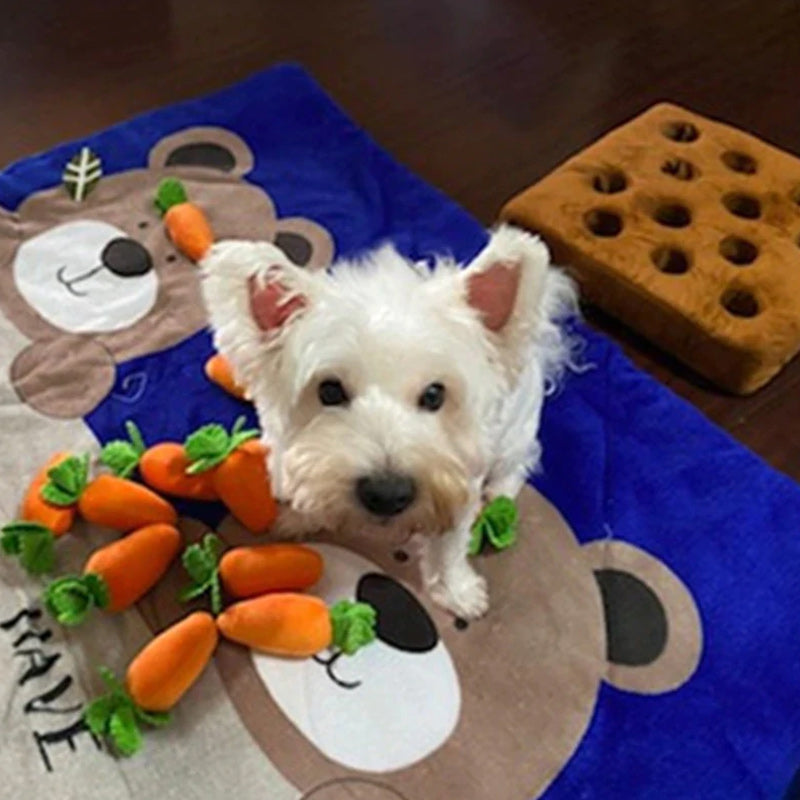 Carrot Plushie - Enriches Your Dog's Life