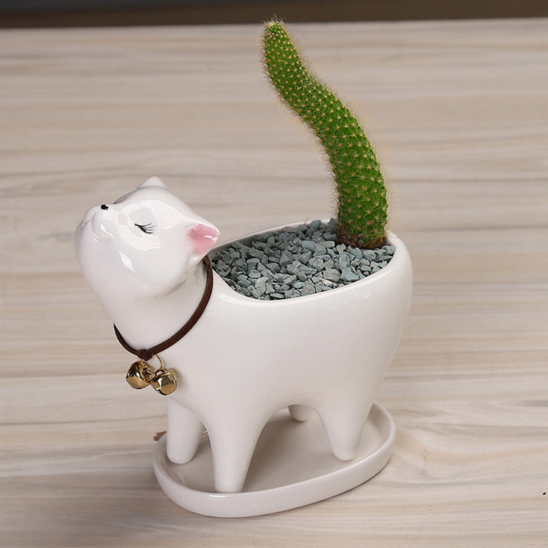 Tail Succulent Cactus Ceramic Flower Pot