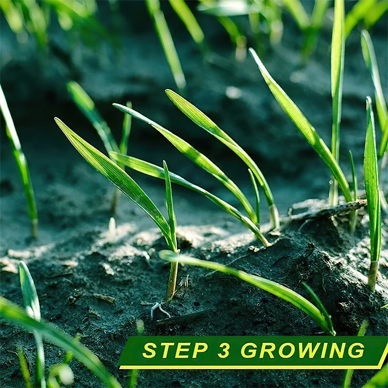 Biodegradable Lawn Seed Mat